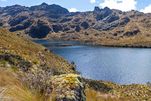 Ekvador And Dağları 'ndaki El Cajas Ulusal Parkı. Dağ manzarası. Larga Gölü (laguna Larga) deniz seviyesinden 4000 metre yükseklikte. Paramo ekosistem. Cuenca yakınlarındaki Azuay Vilayeti.