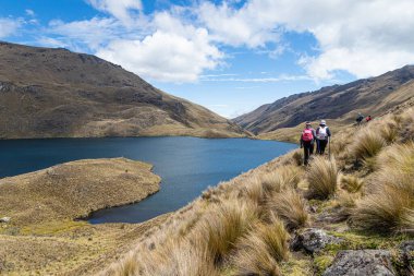 Cajas, Ekvador - 11 Ağustos 2024: Ekvador And Dağları 'ndaki El Cajas Ulusal Parkı' nda bir grup turist. Luspa gölü deniz seviyesinden 3780 metre yükseklikte. Paramo ekosistem. Azuay Eyaleti