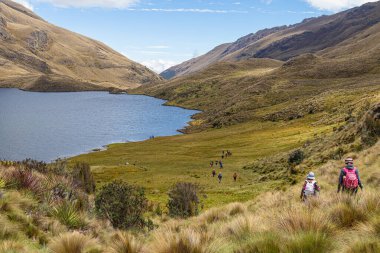 Cajas, Ekvador - 11 Ağustos 2024: Ekvador And Dağları 'ndaki El Cajas Ulusal Parkı' nda bir grup turist. Luspa gölü deniz seviyesinden 3780 metre yükseklikte. Paramo ekosistem. Azuay Eyaleti