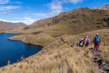 Cajas, Ecuador - August 11, 2024: Group of tourists in El Cajas National Park in the Ecuadorian Andes. Lake (laguna) Larga  at an altitude of 4000 m above sea level. Paramo ecosystem. Azuay Province clipart