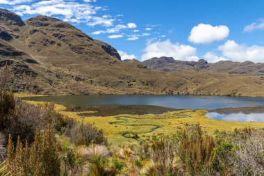 Ekvador And Dağları, El Cajas Ulusal Parkı. Dağ manzarası. Togllacocha Gölü (lagoon) deniz seviyesinden 4000 metre yükseklikte. Paramo ekosistem. Cuenca yakınlarındaki Azuay Vilayeti.