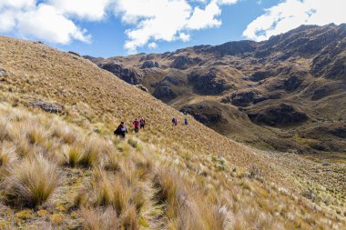 El Cajas Ulusal Parkı 'nda Ekvador And Dağları. Deniz seviyesinden 4000 metre yükseklikte Larga Gölü 'ne (lagün) gidin. Paramo ekosistem. Azuay Eyaleti