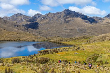 El Cajas Ulusal Parkı 'nda Ekvador And Dağları. Togllacocha Gölü deniz seviyesinden 4000 metre yükseklikte. Paramo ekosistem. Azuay Eyaleti