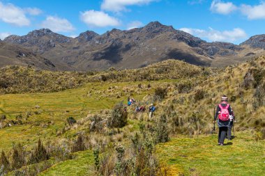 Cajas, Ekvador - 11 Ağustos 2024: Ekvador And Dağları, El Cajas Ulusal Parkı. Dağ manzarası. Yürüyüşçüler deniz seviyesinden 4100 metre yükseklikte yoldalar. Paramo ekosistem. Cuenca 'ya yakın Azuay Eyaleti