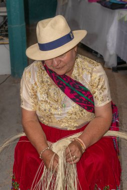 Cuenca, Ekvador - 13 Nisan 2024 Cuenca El Sanatları Fuarı. Bir kadın doğal bir lif olan samandan Panama ya da Paja Toquilla şapkası dokuma tekniği gösterir. UNESCO İnsanlığın Soyut Kültürel Mirası