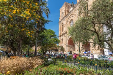 Cuenca, Ekvador - 24 Mart 2024: Merkezi Meydan, Abdon Calderon ve Inmaculada Concepcion Katedrali 'ni UNESCO tarafından korunan tarihi şehir merkezine park edin. Çiçek açan kolonya ağaçları