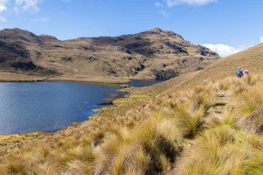 Cajas, Ekvador - 11 Ağustos 2024: Ekvador And Dağları 'ndaki El Cajas Ulusal Parkı' nda bir grup turist. Deniz seviyesinden 4000 metre yükseklikte olan Larga Gölü (laguna). Paramo ekosistem. Azuay Eyaleti