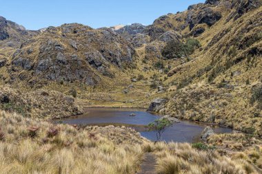 El Cajas Ulusal Parkı 'ndaki Toreadora Gölü. Dağ manzarası. Ekvador, Azuay bölgesi Cuenca şehrine yakın. 