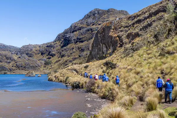 Cajas, Ekvador - 18 Ekim 2025: Ekvador yakınlarındaki El Cajas Ulusal Parkı 'nda Toreadora Gölü (Laguna La Toreadora) etrafında bir yürüyüş yapan kimliği belirsiz bir grup