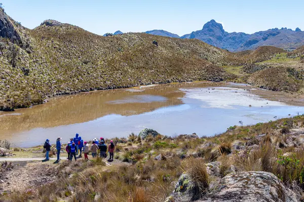 Cajas, Ekvador - 18 Ekim 2025: Ekvador yakınlarındaki El Cajas Ulusal Parkı 'nda Toreadora Gölü (Laguna La Toreadora) etrafında bir yürüyüş yapan kimliği belirsiz bir grup