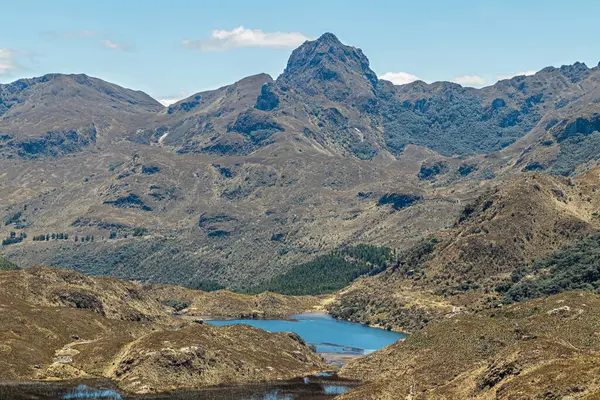 El Cajas Ulusal Parkı, Ekvador And Dağları, Azuay ili, Güney Amerika. 