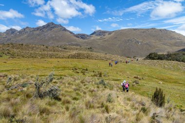 Cajas, Ekvador - 11 Ağustos 2024: Ekvador And Dağları, El Cajas Ulusal Parkı. Dağ manzarası. Yürüyüşçüler deniz seviyesinden 4000 metre yükseklikte bir patikada. Paramo ekosistem. Cuenca yakınlarındaki Azuay Eyaleti