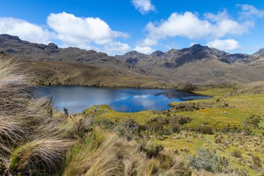 Ekvador And Dağları 'ndaki El Cajas Ulusal Parkı. Dağ manzarası. Togllacocha Gölü (lagoon) deniz seviyesinden 4000 metre yükseklikte. Paramo ekosistem. Cuenca yakınlarındaki Azuay Vilayeti.