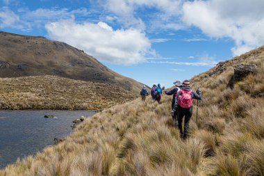 Cajas, Ekvador - 11 Ağustos 2024: Ekvador And Dağları 'ndaki El Cajas Ulusal Parkı' nda yürüyüş yapan bir grup. Luspa gölü deniz seviyesinden 3780 metre yükseklikte. Paramo ekosistem. Azuay Eyaleti