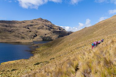 Cajas, Ekvador - 11 Ağustos 2024: Ekvador And Dağları 'ndaki El Cajas Ulusal Parkı' nda bir grup turist. Deniz seviyesinden 4000 metre yükseklikte olan Larga Gölü (laguna). Paramo ekosistem. Azuay Eyaleti