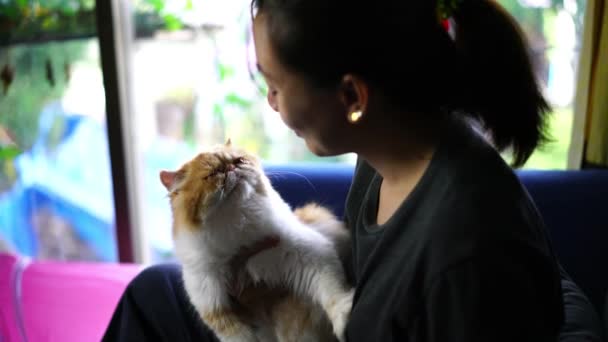 女人在家里和可爱的猫玩耍 爱与快乐时光 — 图库视频影像
