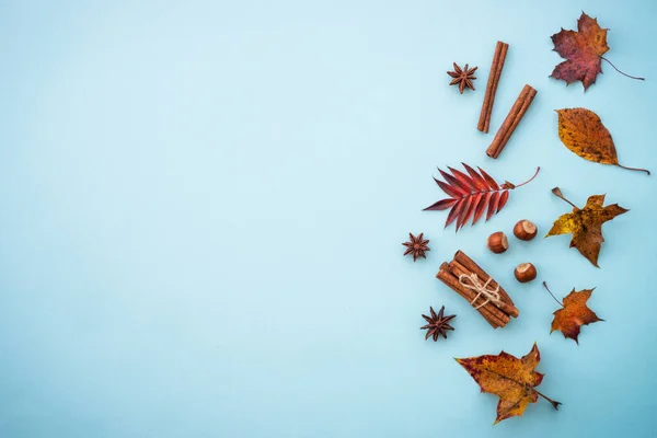 Podzimní Rovina Ležela Pozadí Kreativní Složení Podzimními Listy Kořením Ořechy — Stock fotografie