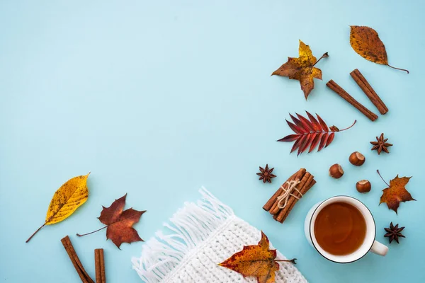 Осенний Фон Голубом Горячий Чай Вязаный Шарф Осенние Листья Плоская — стоковое фото