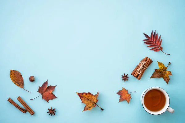 Podzimní Rovina Ležela Modrém Pozadí Horký Čaj Podzimní Listí Koření — Stock fotografie