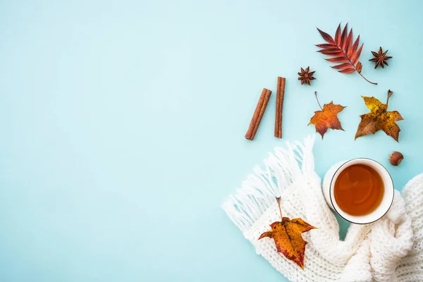 Podzimní Pozadí Modré Horký Čaj Pletená Šála Podzimní Listí Ploché — Stock fotografie