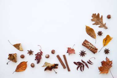 Sonbahar düz arka plan yatıyordu. Sonbahar yaprakları, baharatlar ve fındıklar beyaz üzerine.