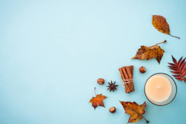 Sonbahar arkaplanı mavi. Sıcak çay, örgü eşarp ve dökülen yapraklar. Kopya alanı olan düz konum.