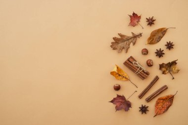 Renk arkaplanındaki yaprakları ve baharatları metin için boşluğa düşür. En üst görüntü.