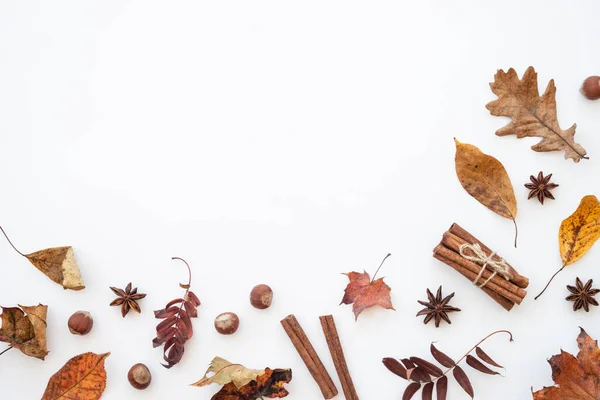 Podzimní Rovina Ležela Pozadí Podzimní Listy Koření Ořechy Bílém — Stock fotografie