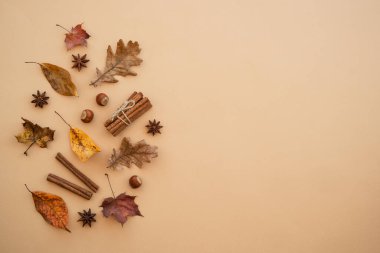 Renk arkaplanındaki yaprakları ve baharatları metin için boşluğa düşür. En üst görüntü.