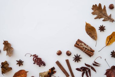 Sonbahar düz arka plan yatıyordu. Sonbahar yaprakları, baharatlar ve fındıklar beyaz üzerine.