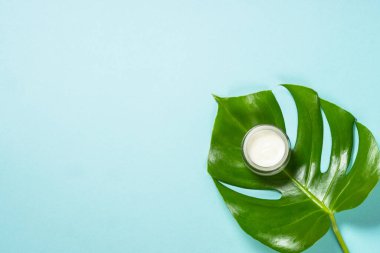 Yeşil yapraklı krema kavanozu. Doğal kozmetik konsepti. Kopyalama alanı olan en üst görüntü.