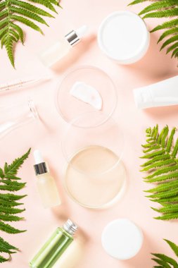 Kozmetik laboratuarı konsepti. Kozmetik ürünleri ve yeşil bitkilerle dolu cam petri kabı. Düz görünüm.