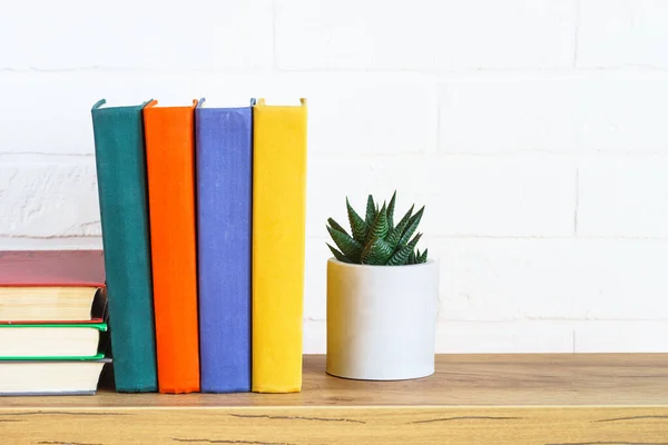 Bookshelf with colored books and green plant on the white wall background.