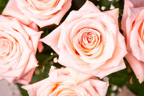 Różowy Bukiet Kwiatów Róż Świeży Kwiat Mokrymi Kroplami — Zdjęcie stockowe