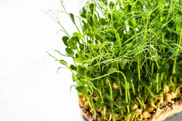Micro Verts Aliments Naturels Sains Microverts Pois Verts Gros Plan — Photo