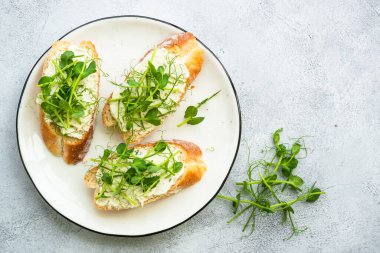 Krem peynirli tost ve mikro yeşillik. Sağlıklı yiyecekler, doğal vitaminler. Üst görünüm.