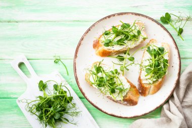 Krem peynirli sandviç ve yeşil arka planda mikro yeşillikler. Doğal sağlıklı yiyecekler, doğal vitaminler. Üst görünüm.
