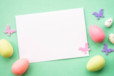 Paskalya geçmişi. Yumurta, tavşan, bahar çiçekleri ve kelebek. Yeşil arkaplanda düz yatış modeli.