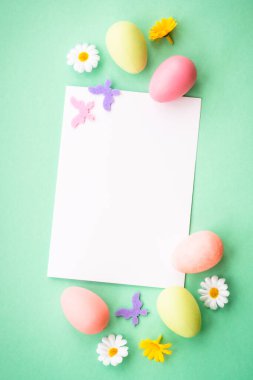 Paskalya geçmişi. Yumurta, tavşan, bahar çiçekleri ve kelebek. Yeşil arkaplanda düz yatış modeli.