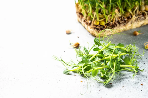 Gröna Ärtor Mikrogröna Hälsosam Kost Närbild — Stockfoto