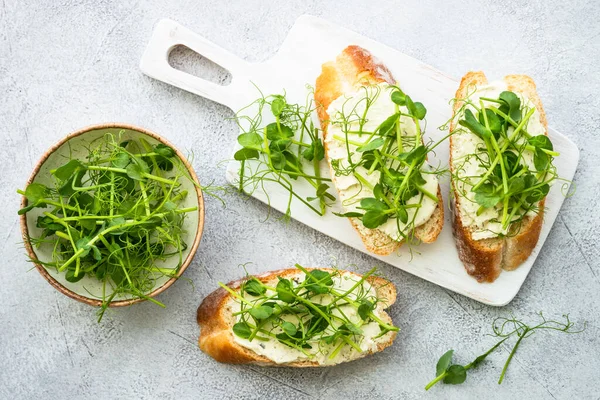 Krem peynirli tost ve mikro yeşillik. Sağlıklı yiyecekler, vejetaryenler, doğal vitaminler. Üst görünüm.