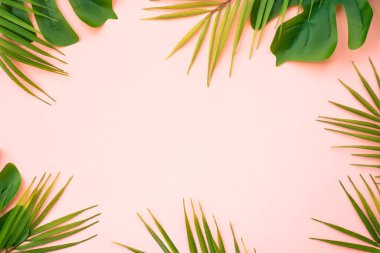 Yaz düzlüğü arka plandaydı. Beyaz arka planda tropik yapraklar, palmiye yaprakları ve canavar..