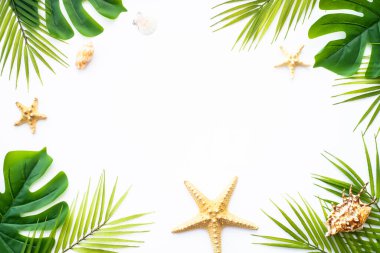 Yaz beyazı arka planda yatıyordu. Tropik yapraklar, palmiye yaprakları ve deniz kabukları.