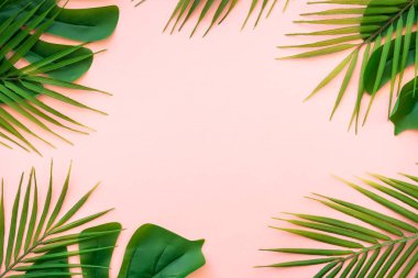 Summer flat lay background. Tropical leaves, palm leaves and monstera on pink background. clipart