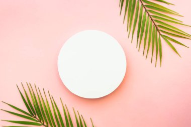 Yaz düzlüğü arka plandaydı. Pembe arka planda palmiye yaprakları ve beyaz podyum.