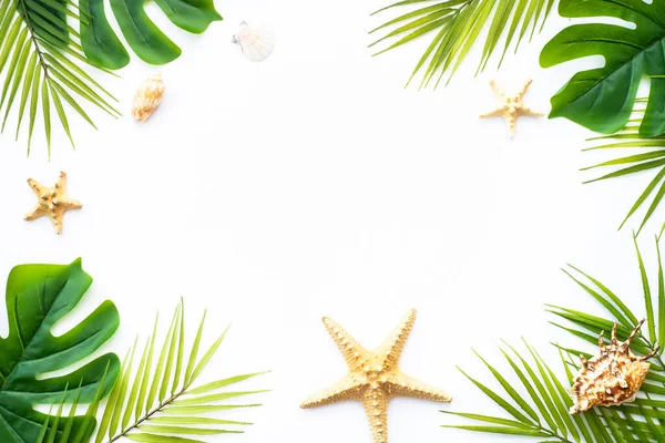 stock image Summer flat lay on white background. Tropical leaves, palm leaves and sea shells.