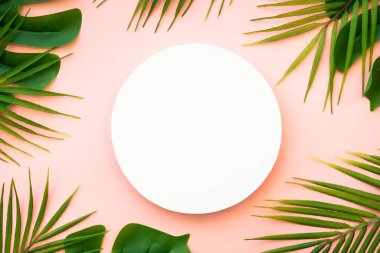 Yaz düzlüğü arka plandaydı. Pembe arka planda tropik yapraklar ve beyaz podyum.