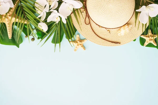 여름의 컨셉이야 야자나무 — 스톡 사진