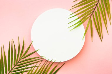 Yaz düzlüğü arka plandaydı. Pembe arka planda palmiye yaprakları ve beyaz podyum.