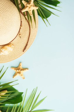 Yaz düzlüğü arka plandaydı. Yaz tatili ve seyahat konsepti. Palmiye yaprakları, deniz kabukları ve mavi arka planda şapka. Dikey.